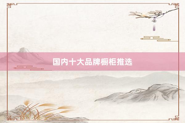 国内十大品牌橱柜推选